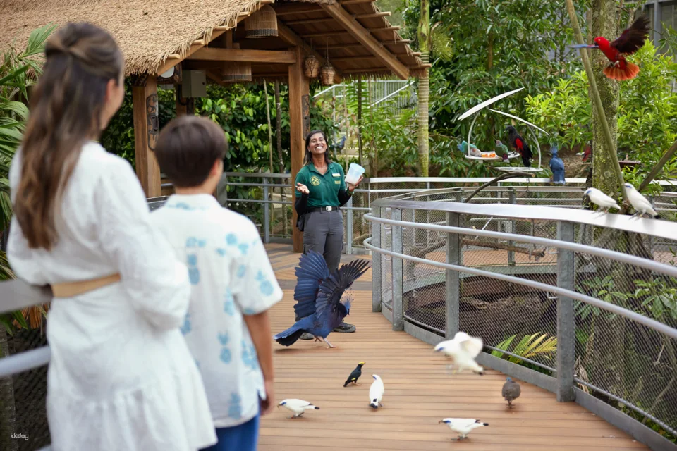 Mandai Wildlife Reserve: Multi-park Destination Passes | Night Safari, Singapore Zoo, River Wonders, Bird Paradise & Rainforest Wild ASIA