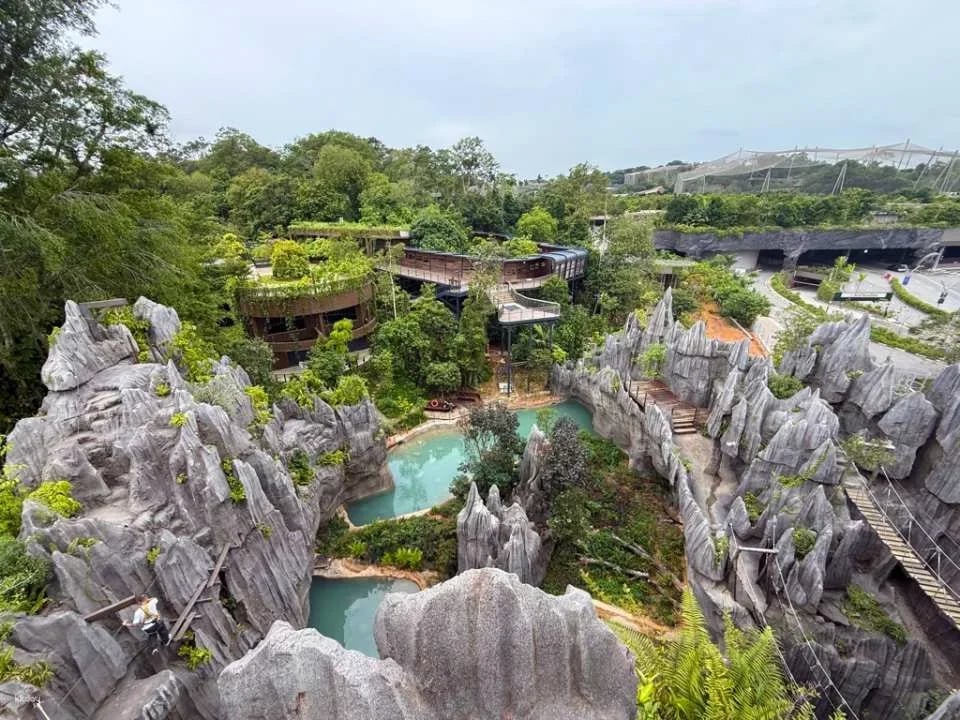Mandai Wildlife Reserve: Multi-park Destination Passes | Night Safari, Singapore Zoo, River Wonders, Bird Paradise & Rainforest Wild ASIA