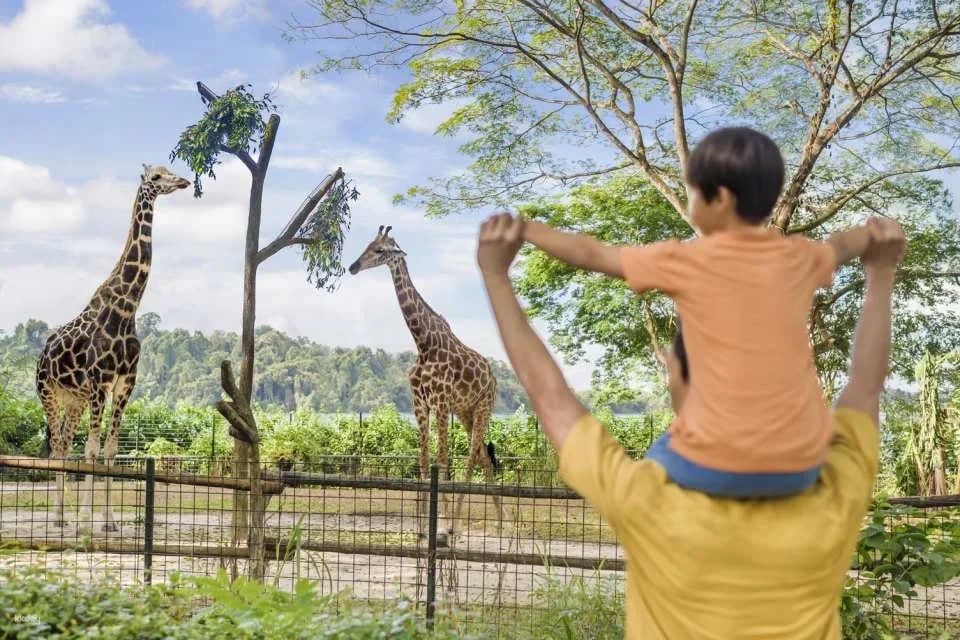 Mandai Wildlife Reserve: Multi-park Destination Passes | Night Safari, Singapore Zoo, River Wonders, Bird Paradise & Rainforest Wild ASIA