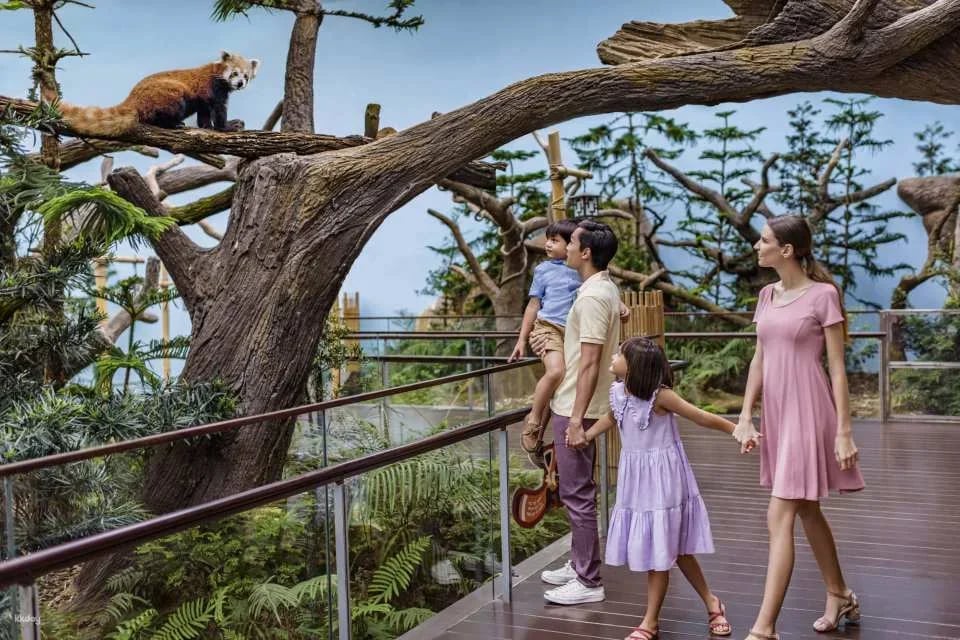 Mandai Wildlife Reserve: Multi-park Destination Passes | Night Safari, Singapore Zoo, River Wonders, Bird Paradise & Rainforest Wild ASIA