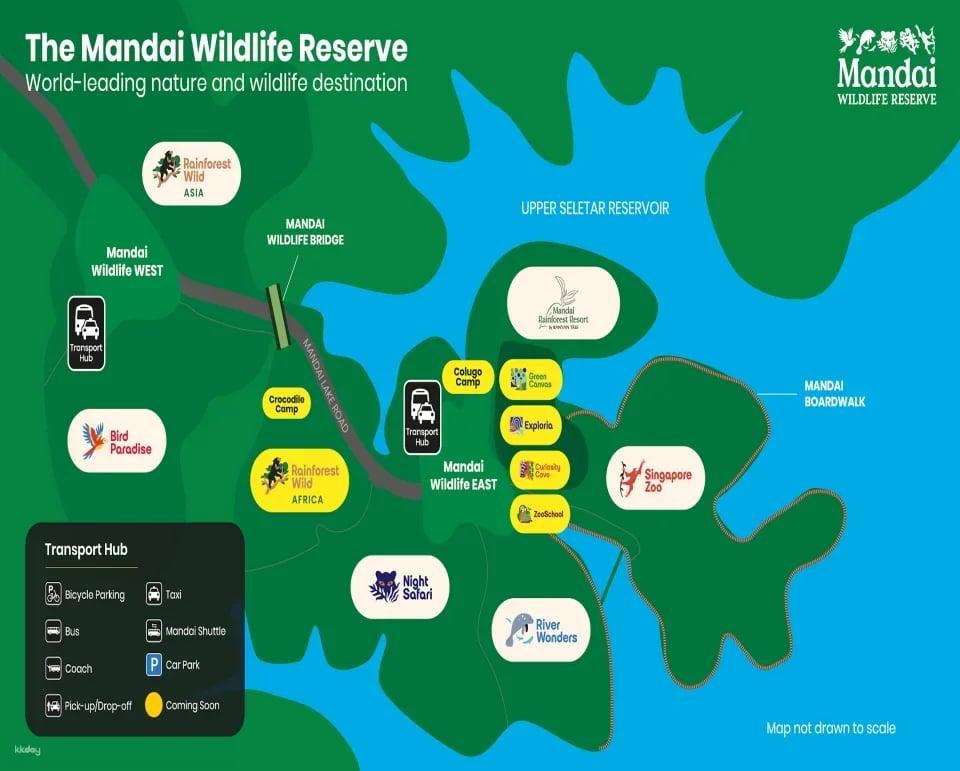 Mandai Wildlife Reserve: Multi-park Destination Passes | Night Safari, Singapore Zoo, River Wonders, Bird Paradise & Rainforest Wild ASIA