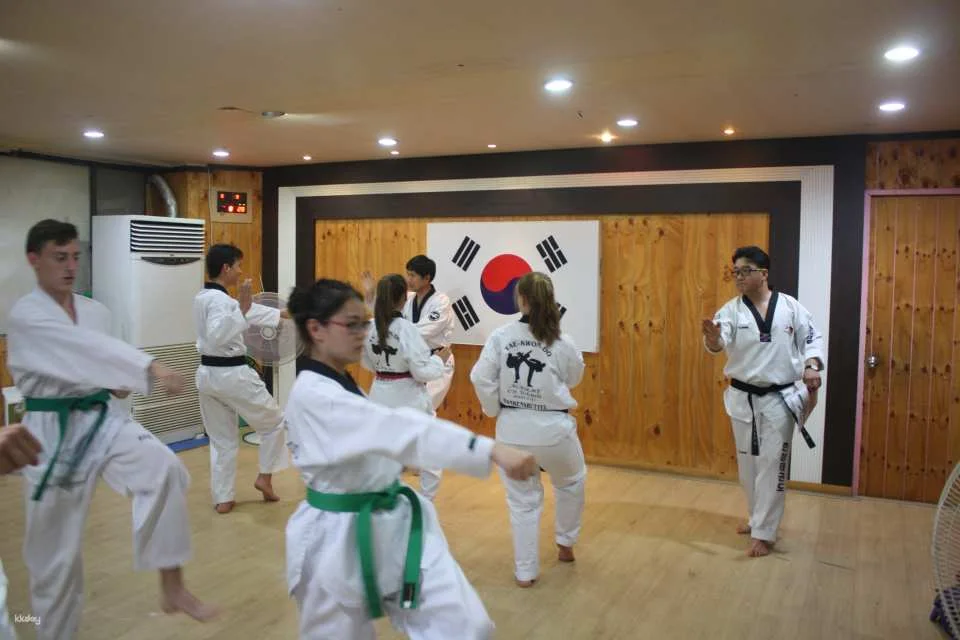 Combat Taekwondo Experience | Daegu