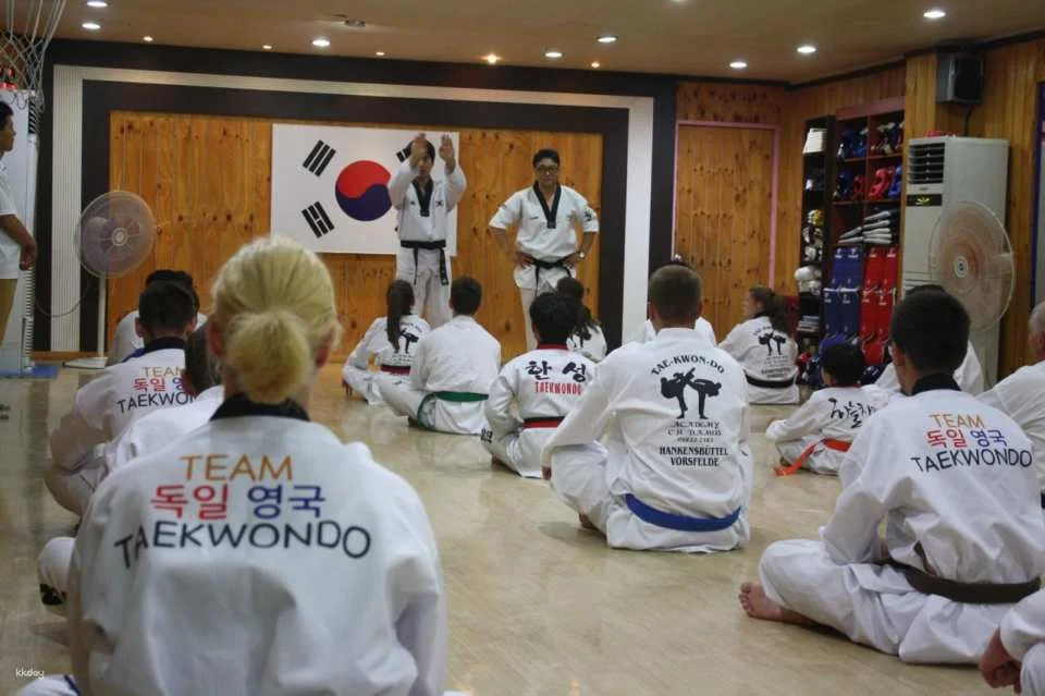 Combat Taekwondo Experience | Daegu