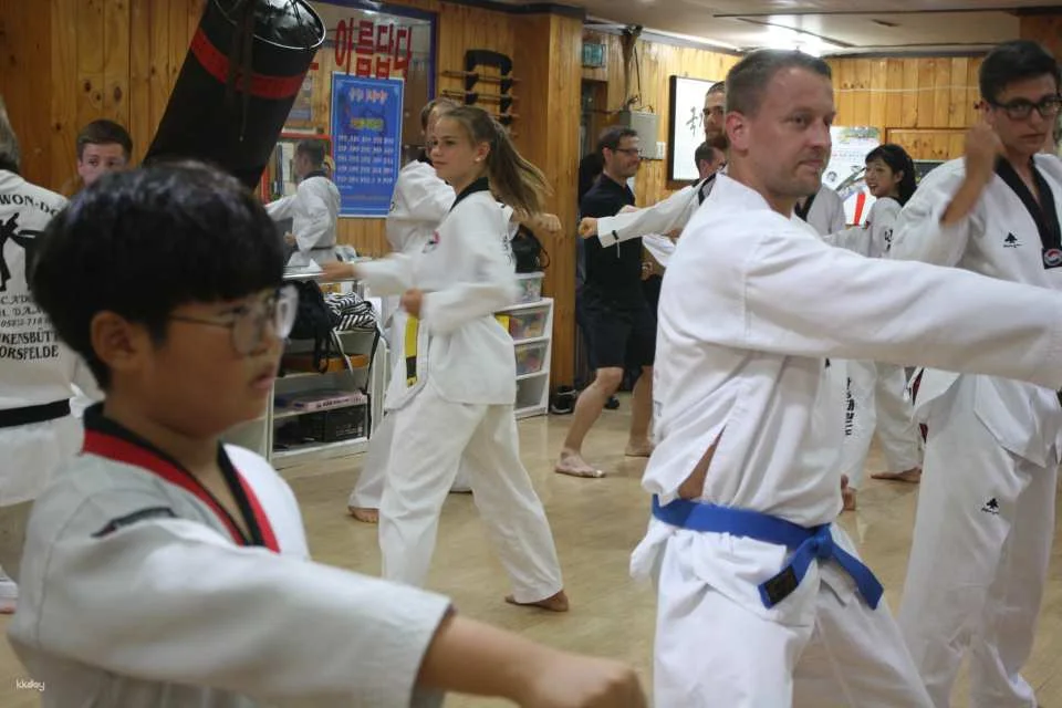 Combat Taekwondo Experience | Daegu