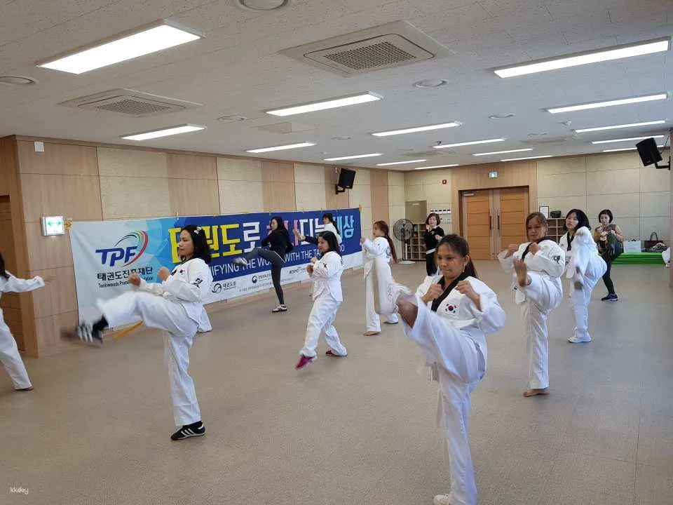 Combat Taekwondo Experience | Daegu
