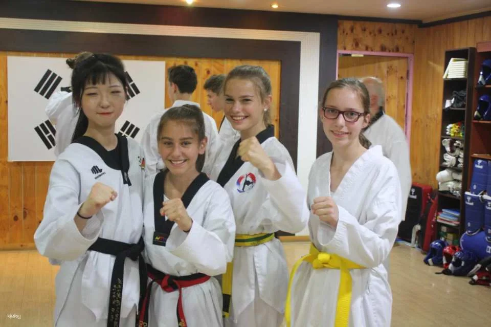 Combat Taekwondo Experience | Daegu