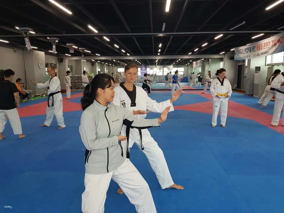 Combat Taekwondo Experience | Daegu