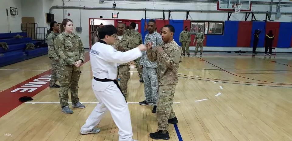 Combat Taekwondo Experience | Daegu