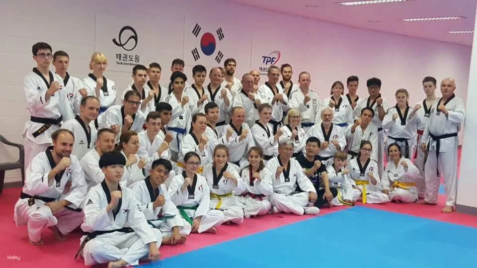Combat Taekwondo Experience | Daegu