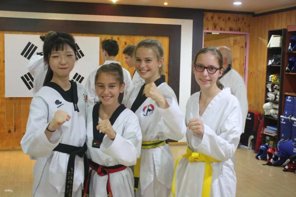 Combat Taekwondo Experience | Daegu