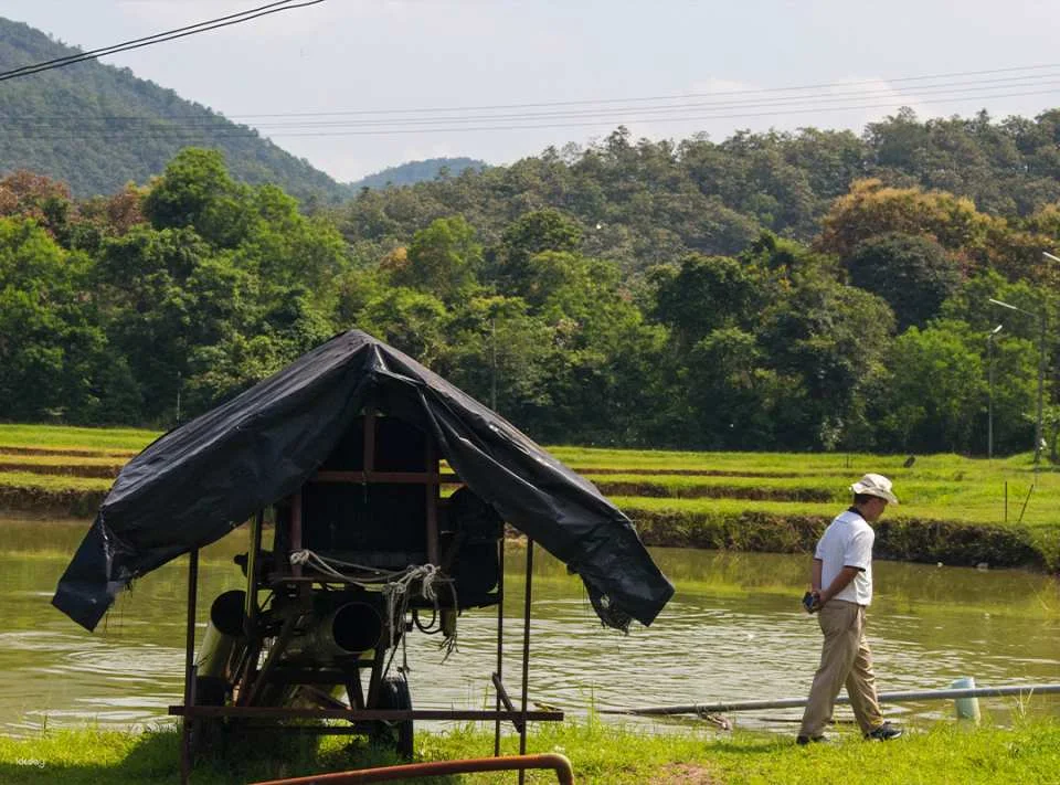Chiang Mai Local Life & Ancient Wisdom Tour | Thailand