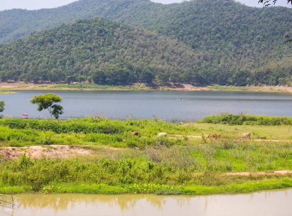 Chiang Mai Local Life & Ancient Wisdom Tour | Thailand