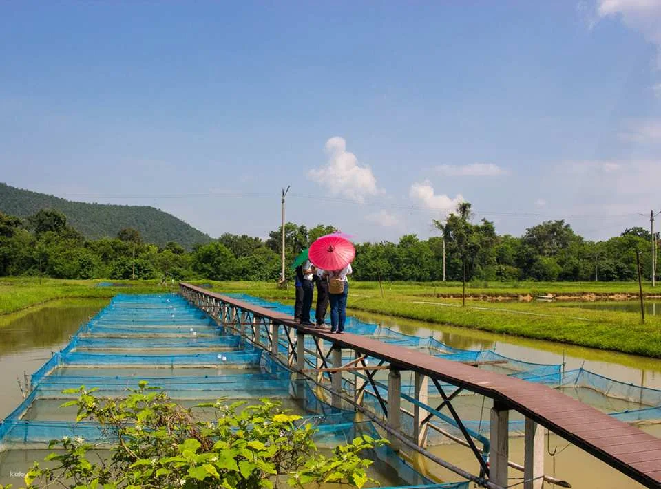 Chiang Mai Local Life & Ancient Wisdom Tour | Thailand