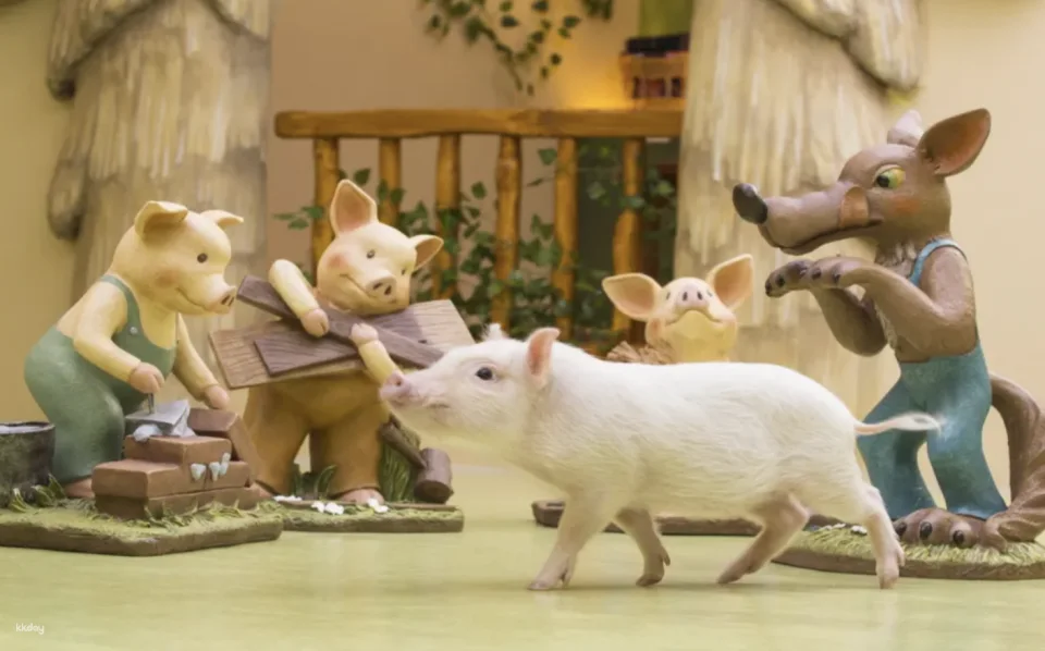 [Multiple Locations in Japan | Tokyo, Osaka, Fukuoka, Sapporo] Mipig Pig Cafe Experience Reservation | Popular Healing Animal Interaction