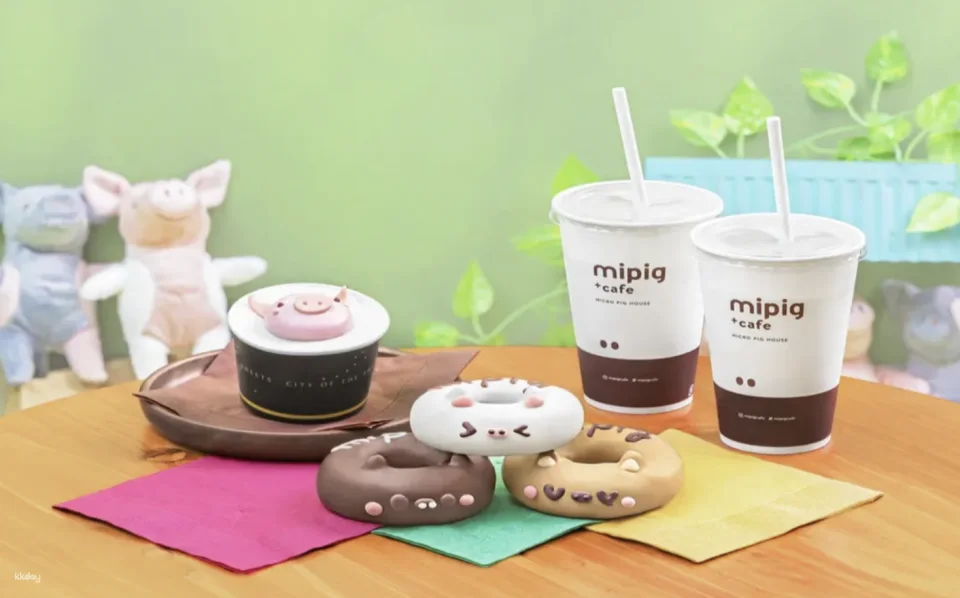 [Multiple Locations in Japan | Tokyo, Osaka, Fukuoka, Sapporo] Mipig Pig Cafe Experience Reservation | Popular Healing Animal Interaction