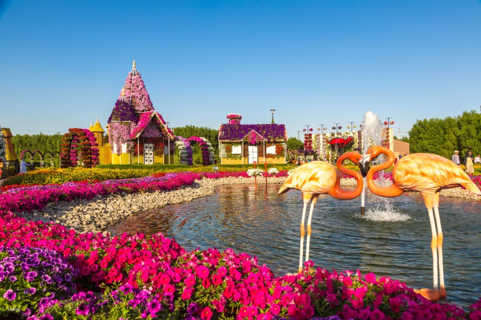 Dubai Miracle Garden Ticket