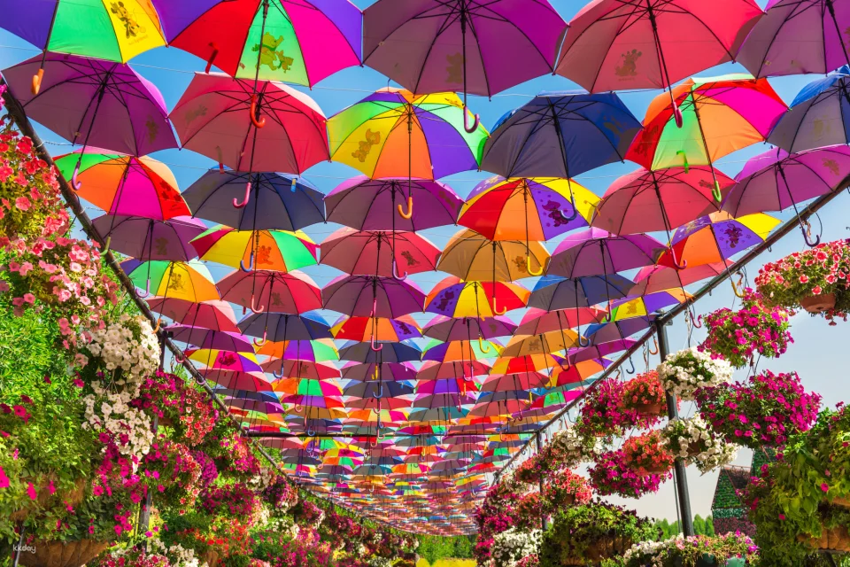 Dubai Miracle Garden Ticket