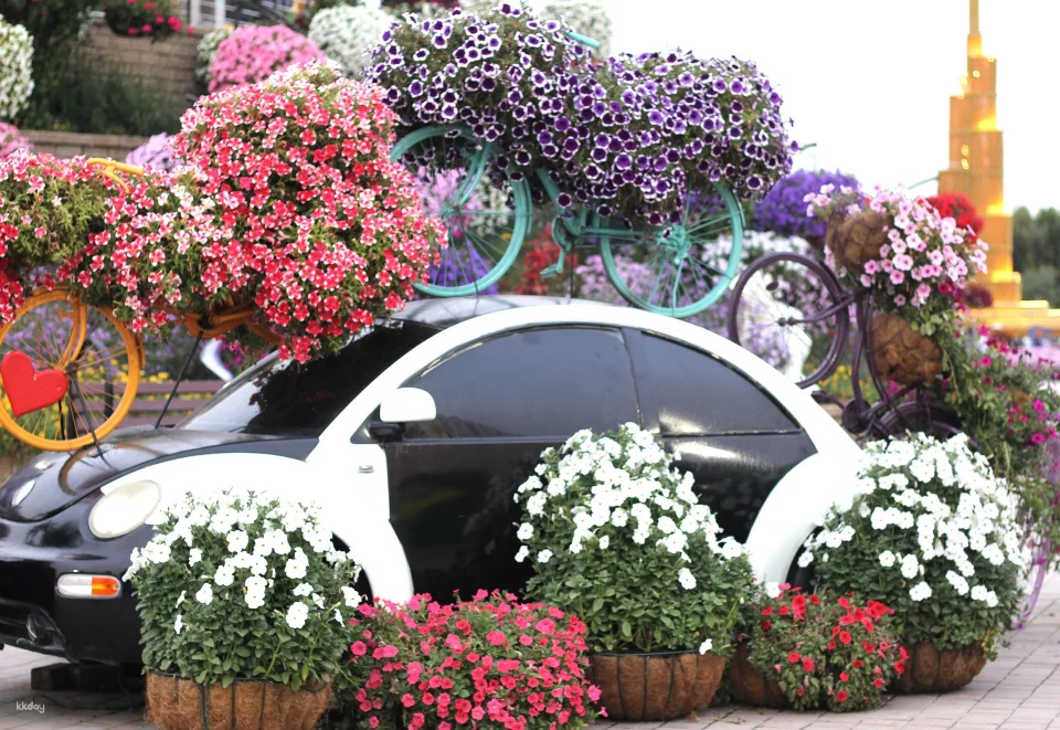 Dubai Miracle Garden Ticket