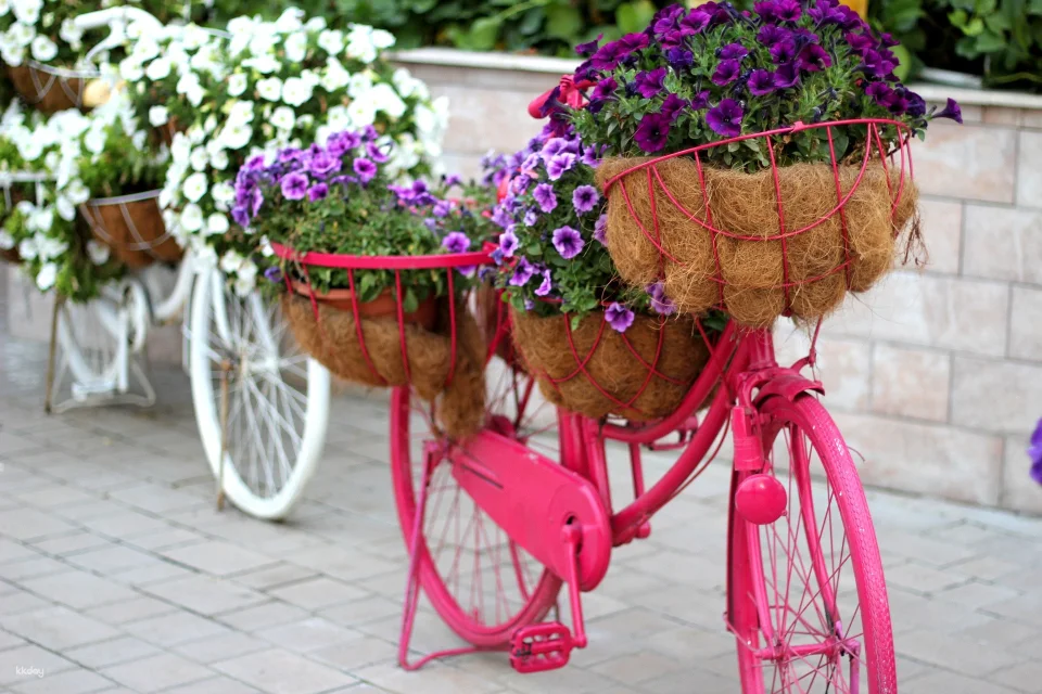 Dubai Miracle Garden Ticket