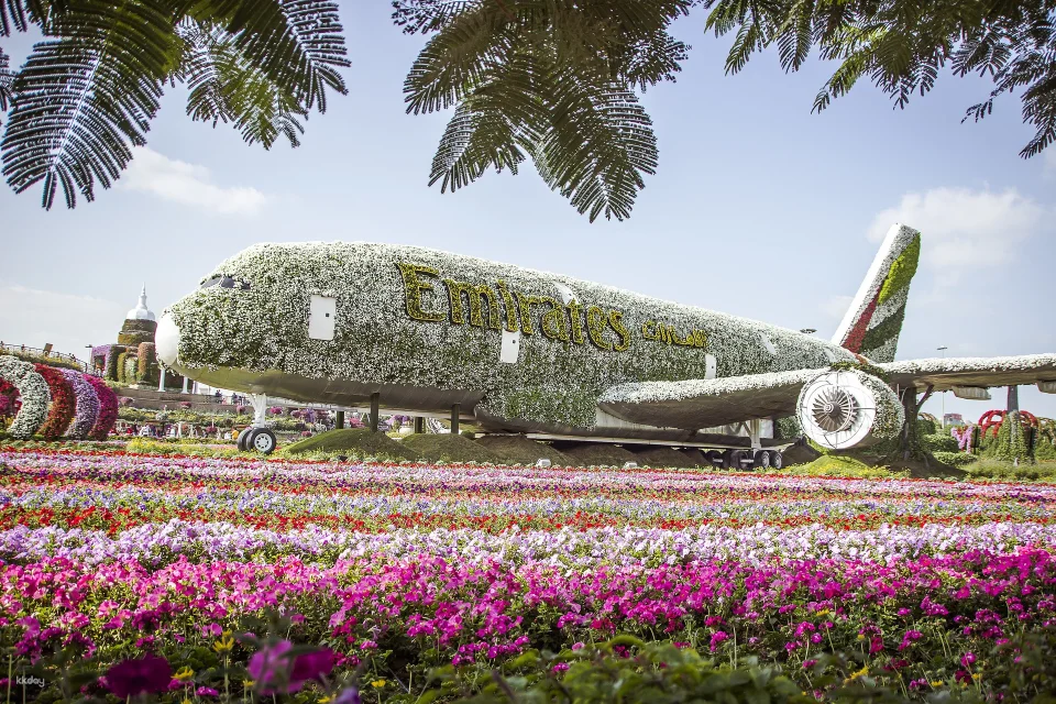 Dubai Miracle Garden Ticket