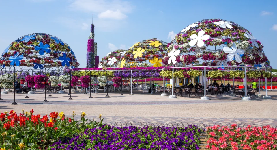 Dubai Miracle Garden Ticket