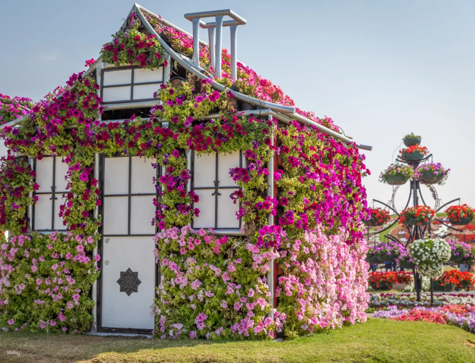 Dubai Miracle Garden Ticket
