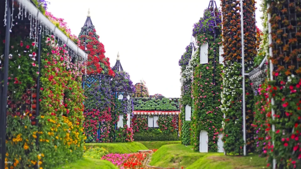 Dubai Miracle Garden Ticket