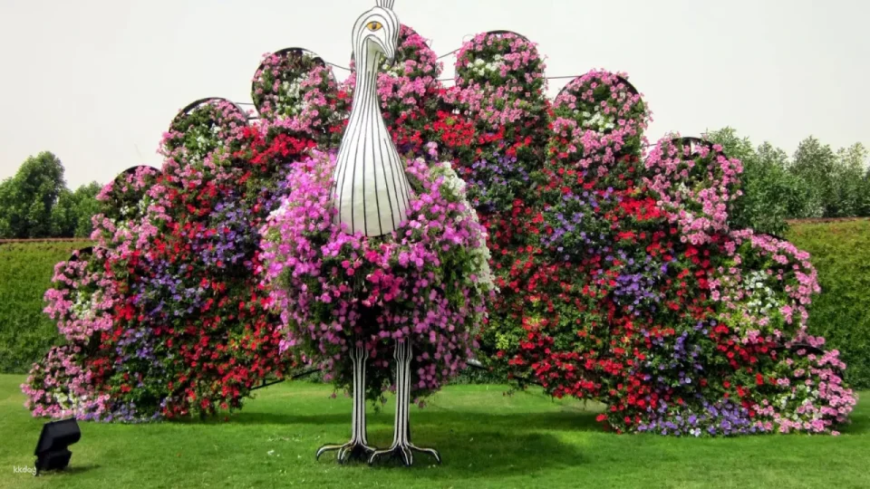 Dubai Miracle Garden Ticket