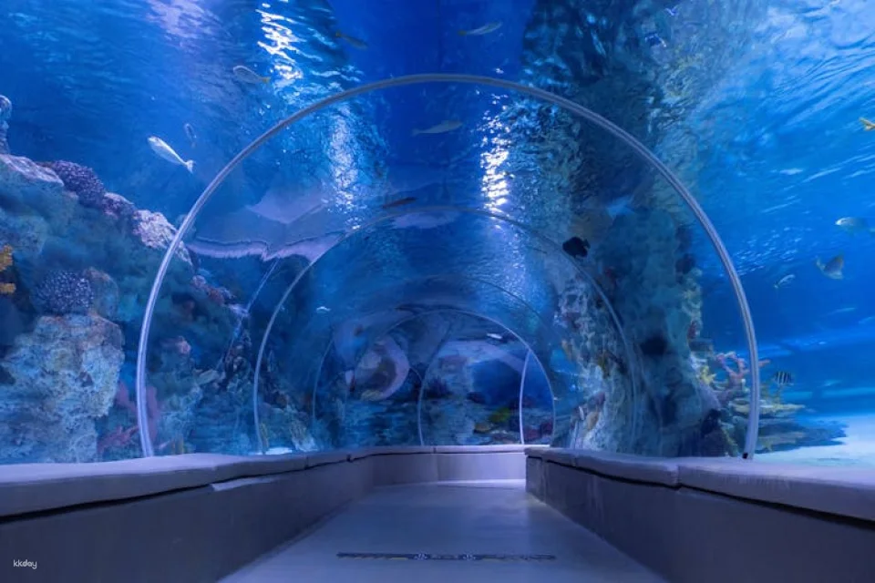 Istanbul Emaar SkyView experience with optional aquarium ticket