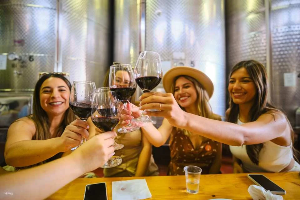 Cheers to Florence: an Exclusive Small-Group Wine Tasting Experience with Unlimited Wine