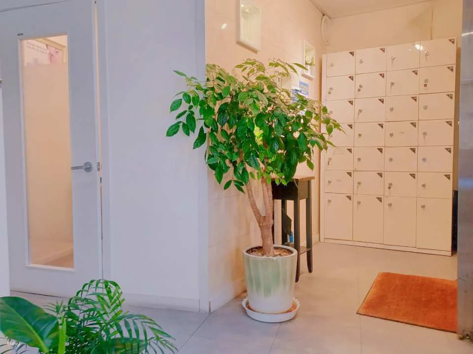 Myeongdong Skinspa- Aesthetic Korea Skin Care & Massage Treatment