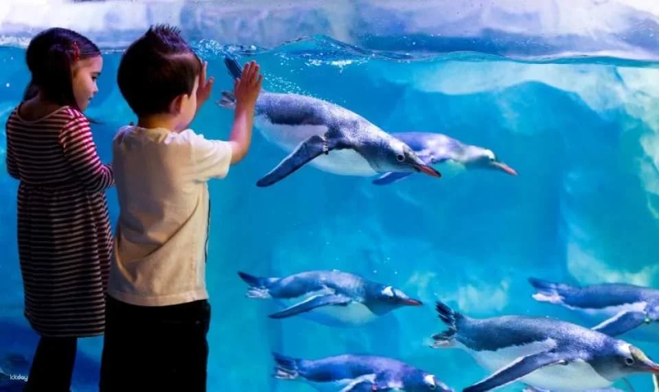 Golden Pass - London's All-In-One Sightseeing Ticket | United Kingdom
