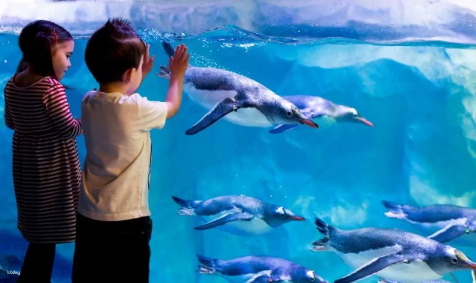 Golden Pass - London's All-In-One Sightseeing Ticket | United Kingdom