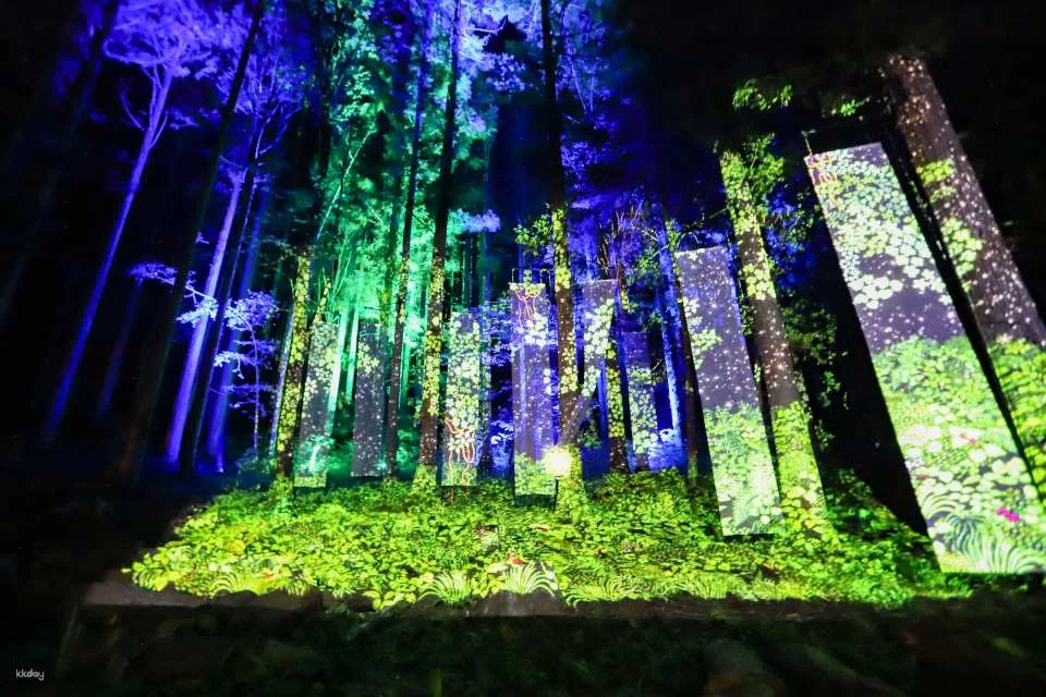 Chibam Land Light Paper-Cut Night Walk Admission Ticket (Tone District, Gunma Prefecture, Event)