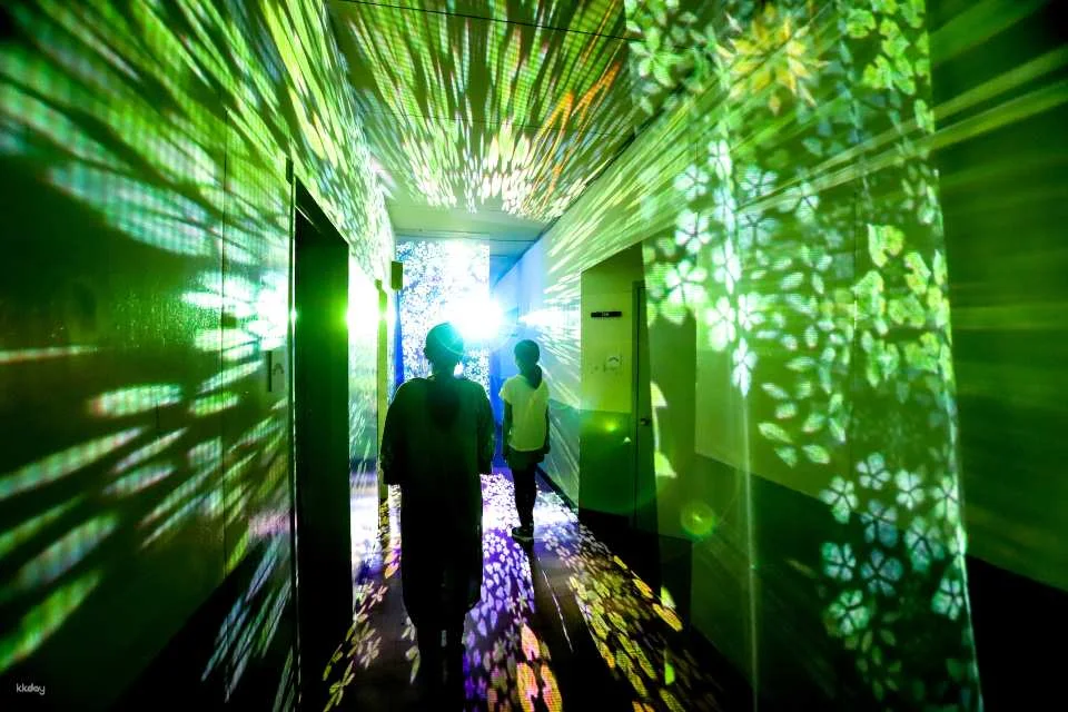 Chibam Land Light Paper-Cut Night Walk Admission Ticket (Tone District, Gunma Prefecture, Event)