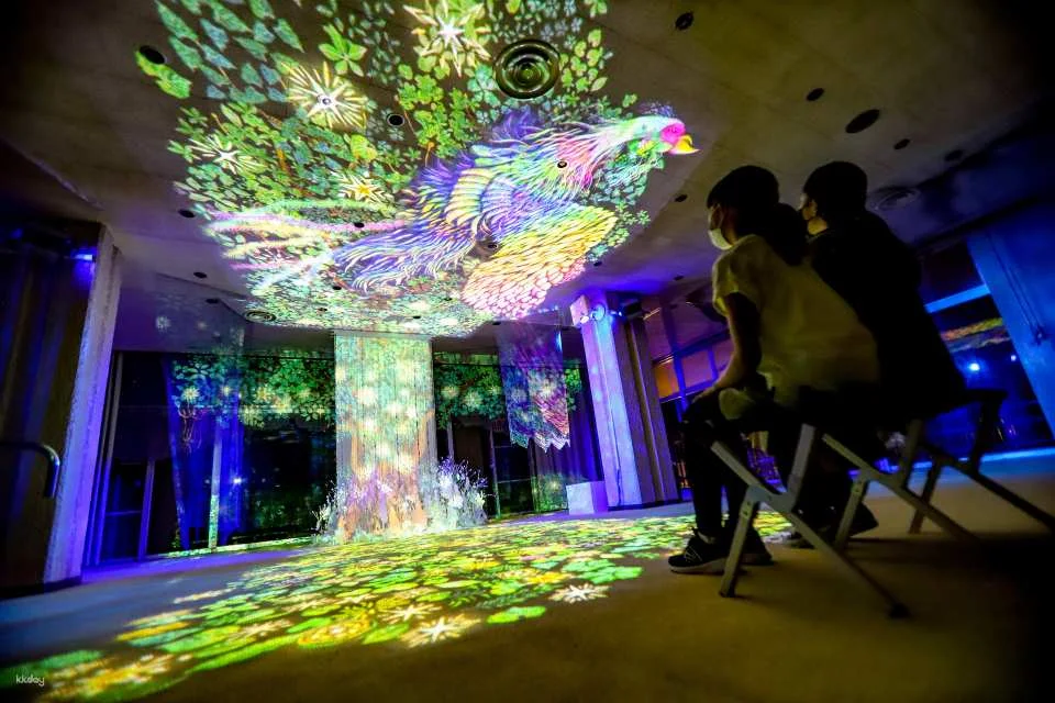 Chibam Land Light Paper-Cut Night Walk Admission Ticket (Tone District, Gunma Prefecture, Event)