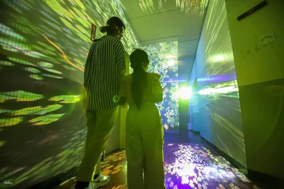Chibam Land Light Paper-Cut Night Walk Admission Ticket (Tone District, Gunma Prefecture, Event)