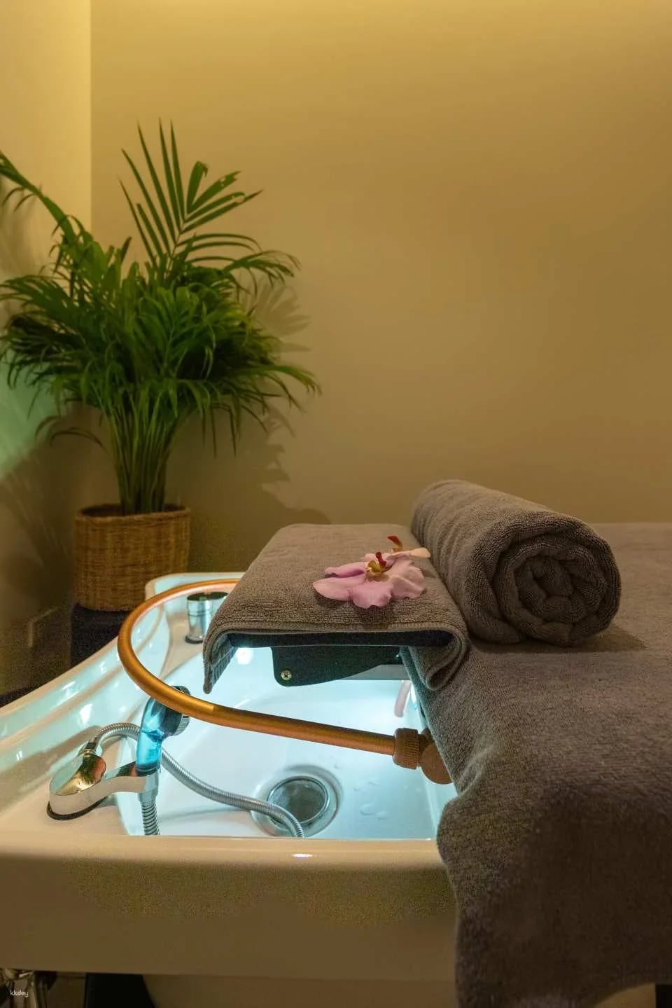 Miu Miu Salon | Bangkok