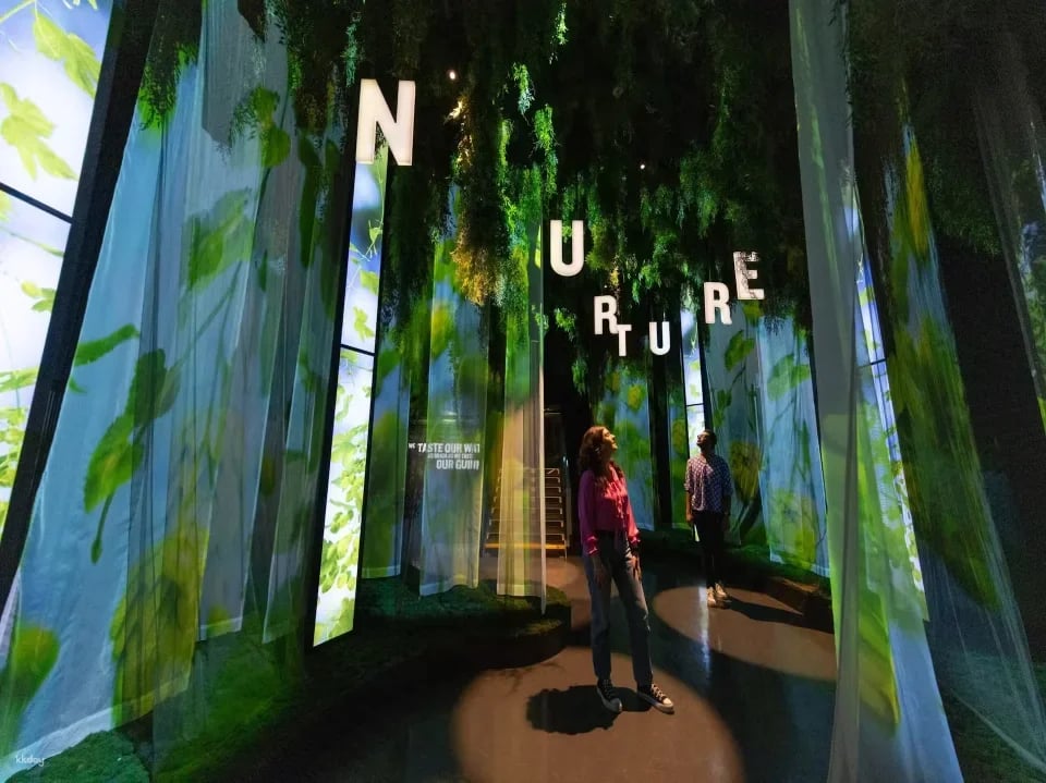 Guinness Storehouse Entry Ticket in Dublin | Ireland
