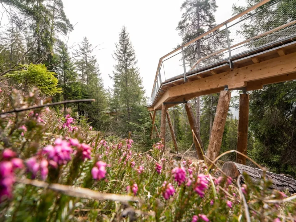 Treetop Walk Ticket | Switzerland