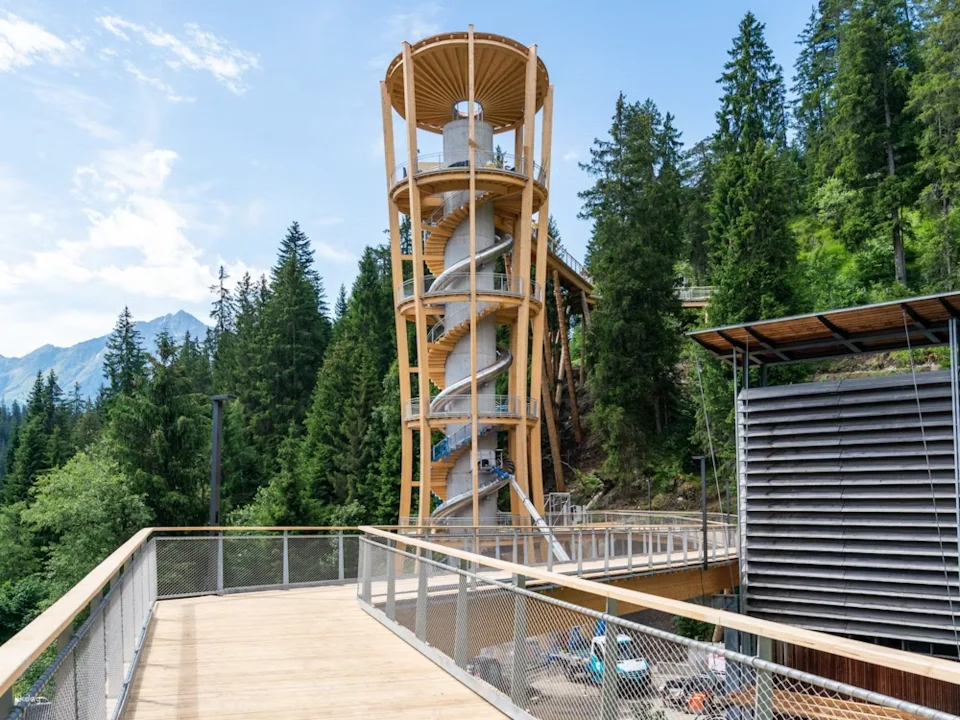 Treetop Walk Ticket | Switzerland