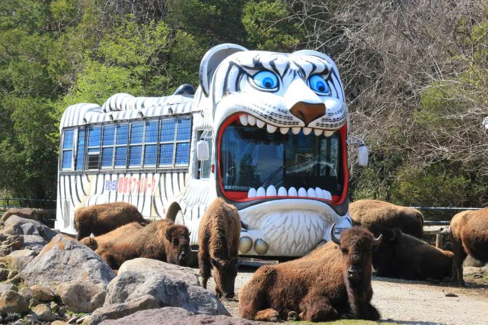 [300 yen discount] Nasu Safari Park (admission ticket + lion bus + feeding) (Nasu Town, Tochigi Prefecture)