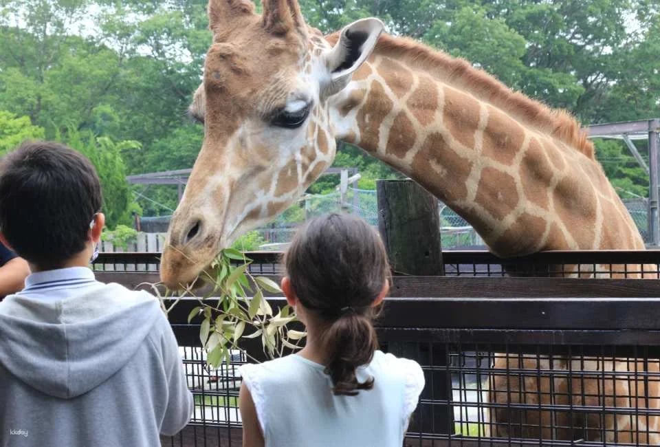 [300 yen discount] Nasu Safari Park (admission ticket + lion bus + feeding) (Nasu Town, Tochigi Prefecture)