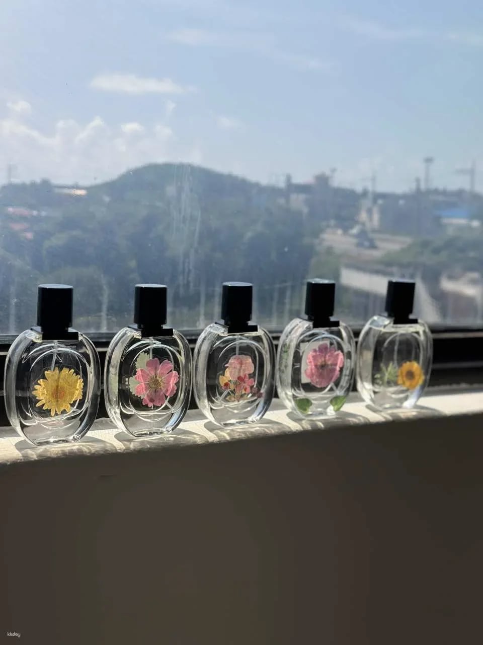 Find Your Signature Scent – Perfume Making Experience in Jeju