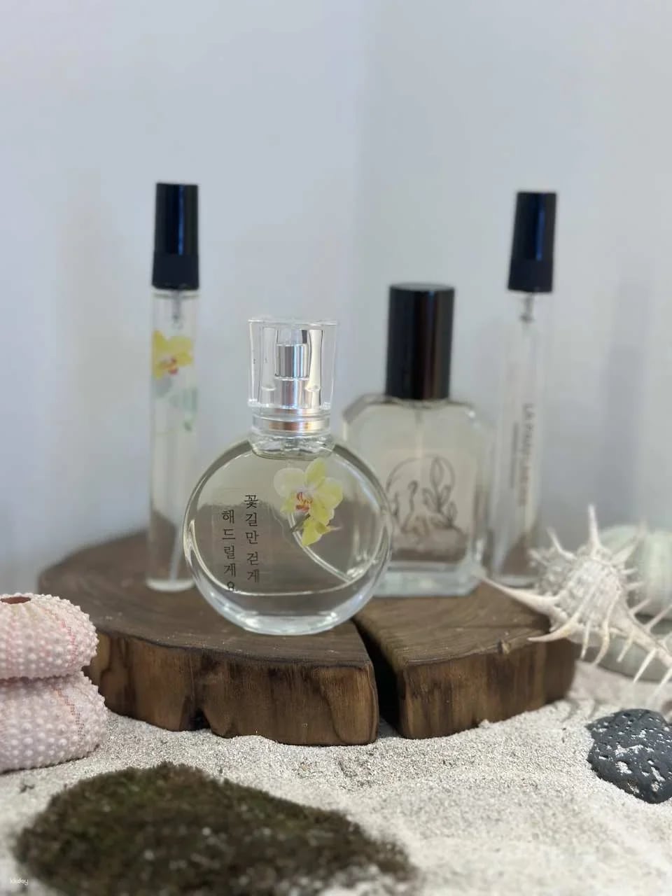 Find Your Signature Scent – Perfume Making Experience in Jeju