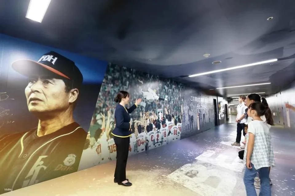 Japan | Fukuoka SoftBank Eagles & Mizuho PayPay Dome Guided Tour | Enjoy the Experience