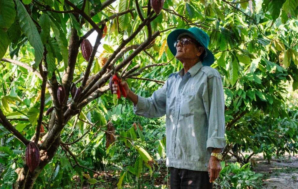 Chocolate Making Experience in Ho Chi Minh City – 2-Hour Tour with Drink Included | Vietnam