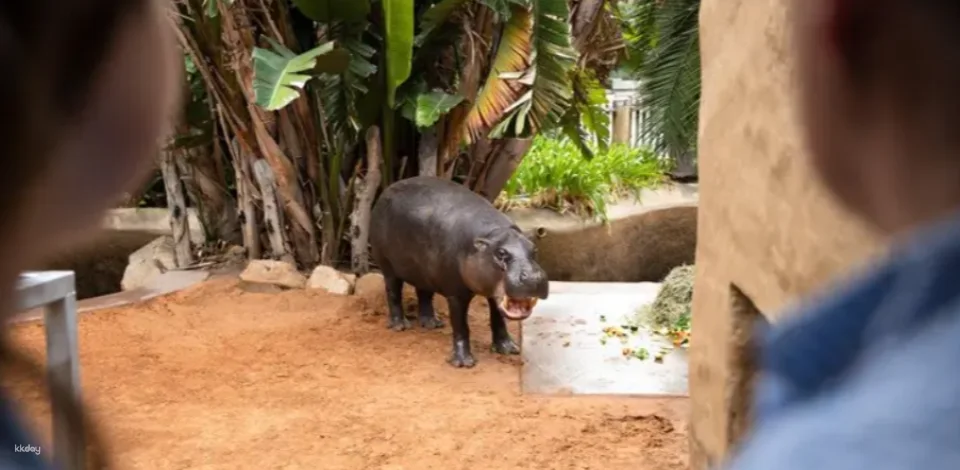 Adelaide Zoo Ticket | Australia
