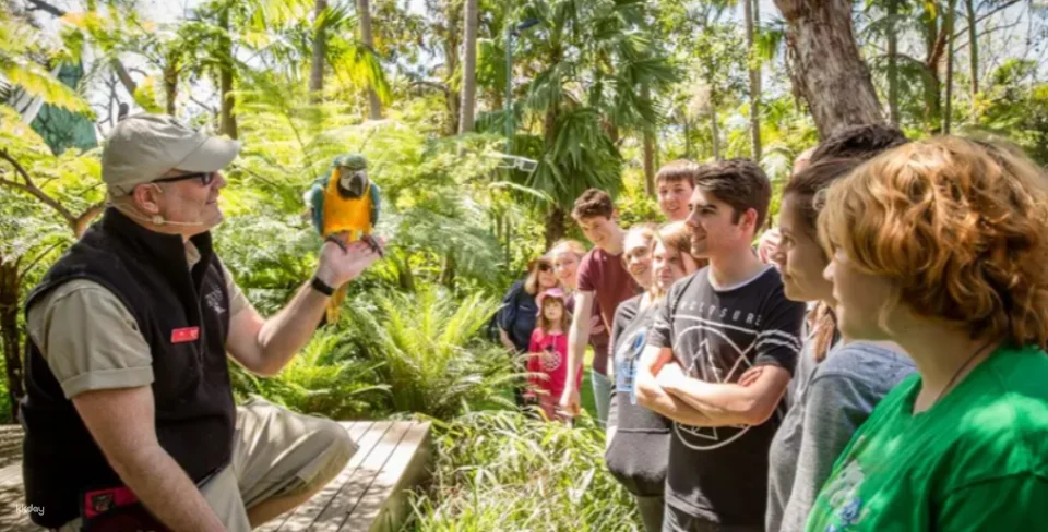 Adelaide Zoo Ticket | Australia