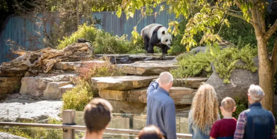 Adelaide Zoo Ticket | Australia